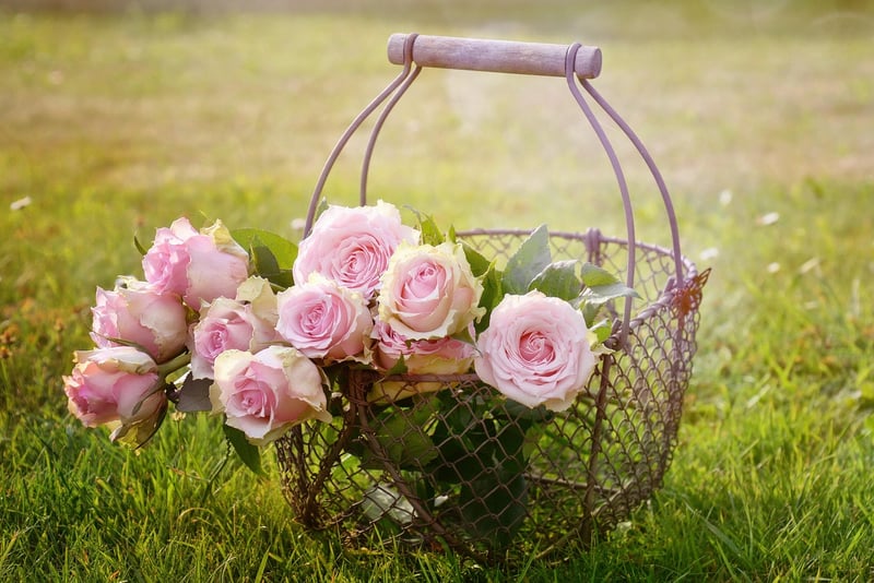 Hanging Baskets